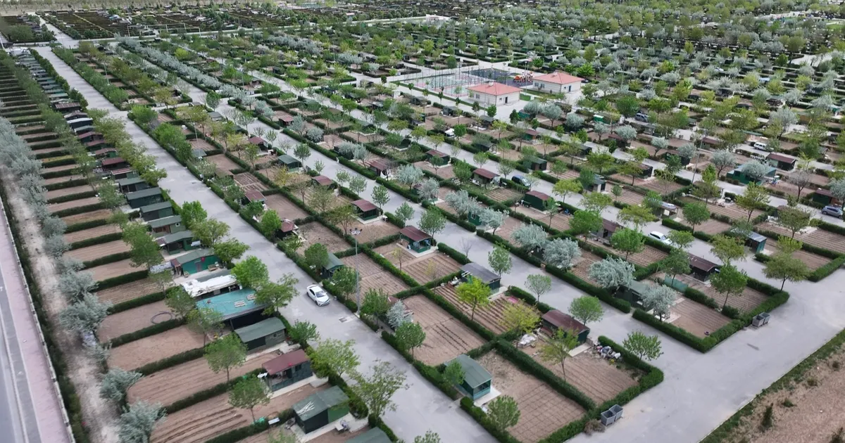 Konya Karatay'da hobi bahçelerinde üretim zamanı