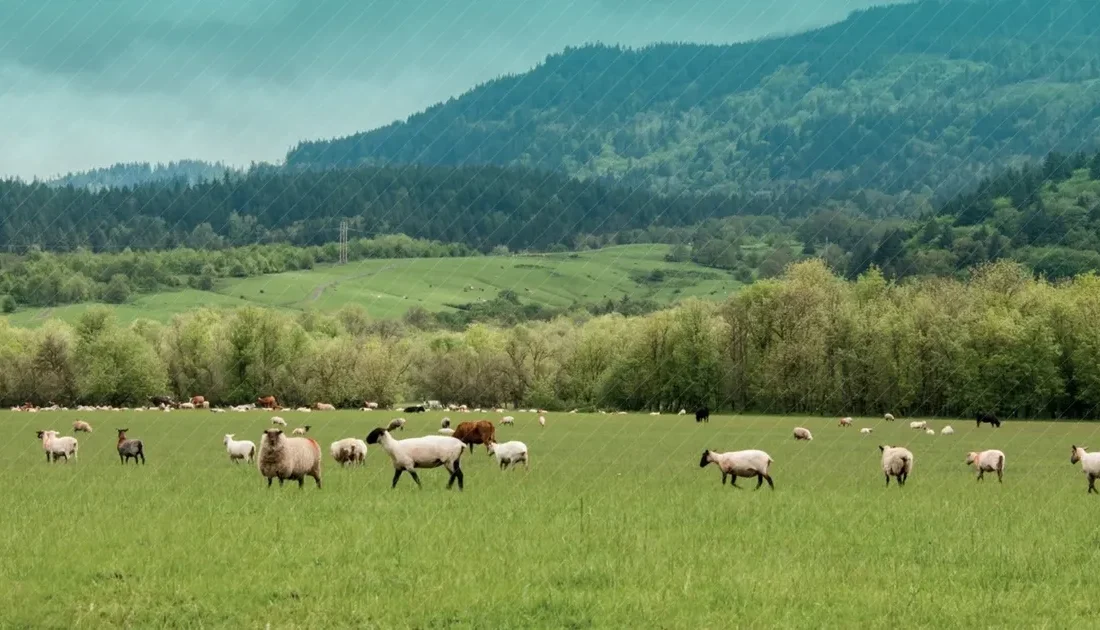 Tarım ve Orman Bakanı