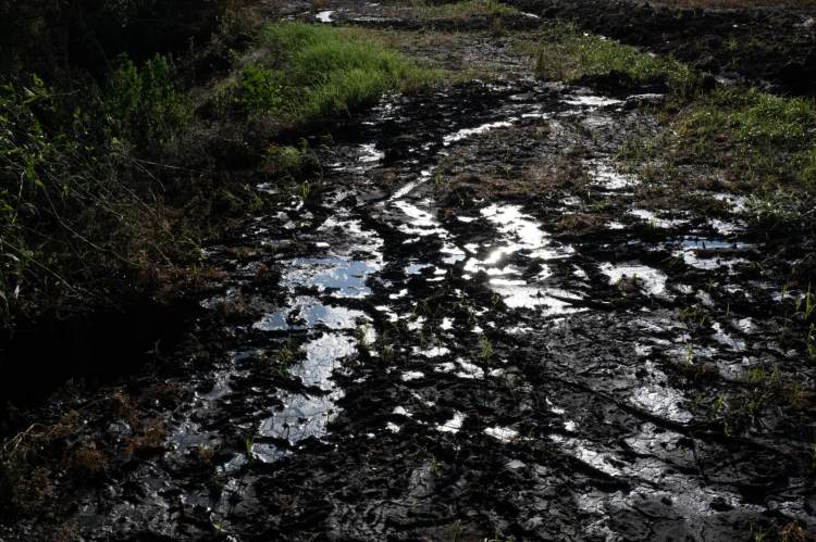 Manisa Büyükşehir’den Gediz Nehri’ni kirletenlere suçüstü 