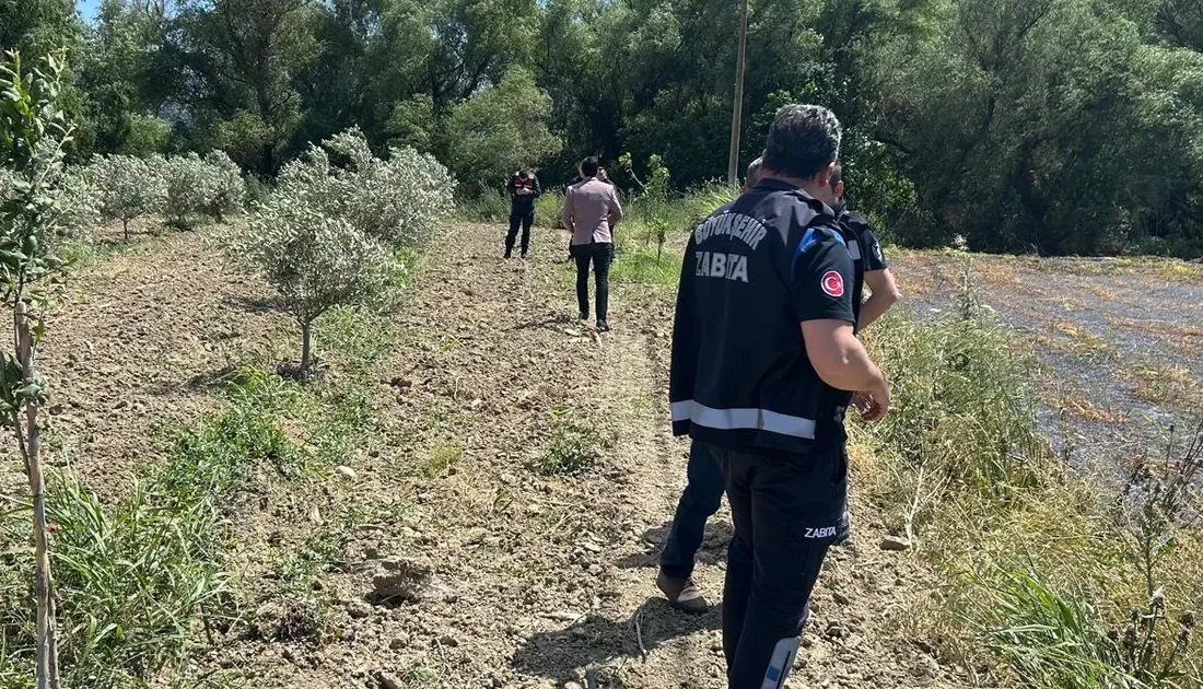 Manisa Büyükşehir Belediyesi İklim