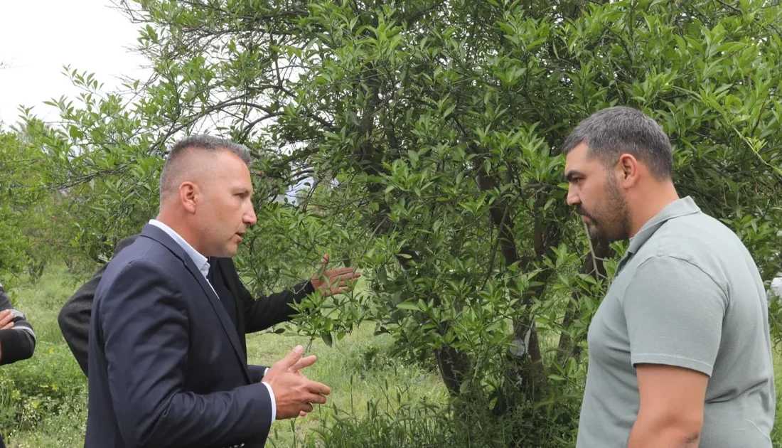 Muğla Büyükşehir Belediyesi, Şubat