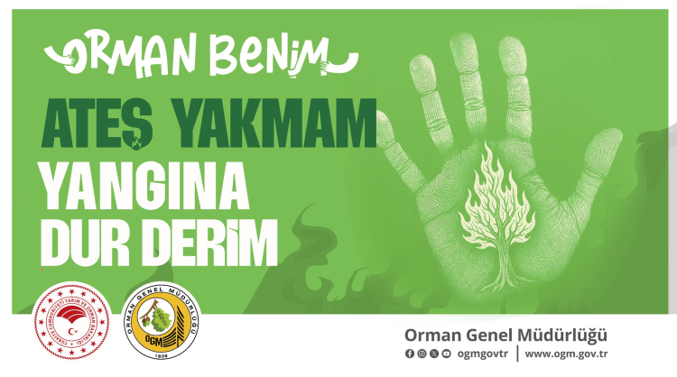 OGM'den kritik uyarı! Sıcaklık arttı 6 ilde ormanlara giriş yasaklandı!