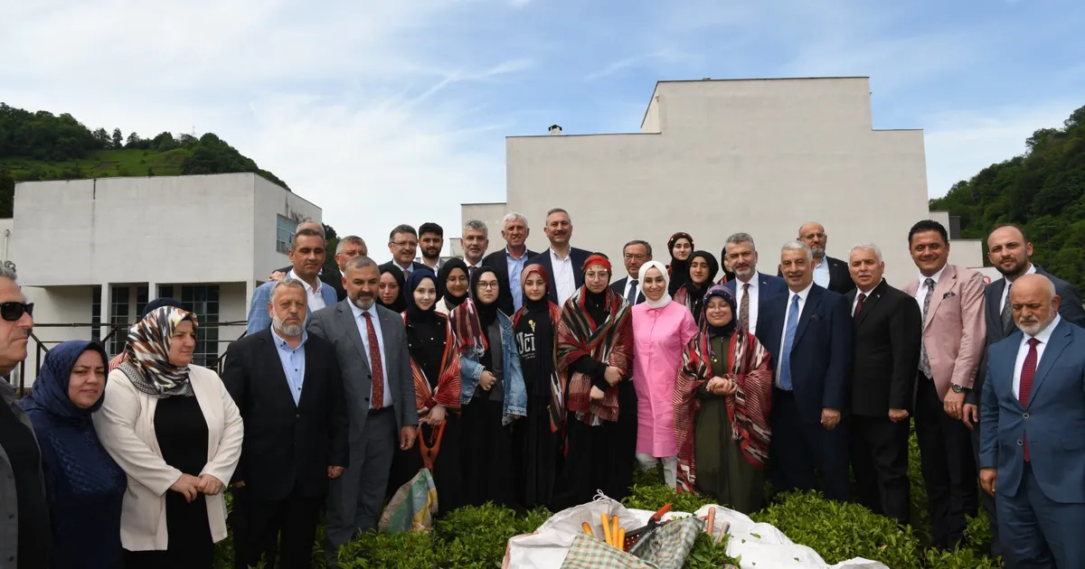 Ortahisar’da yeni bir çay fabrikası kuruluyor