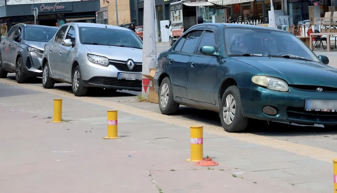Sakarya Büyükşehir Belediyesi, şehrin
