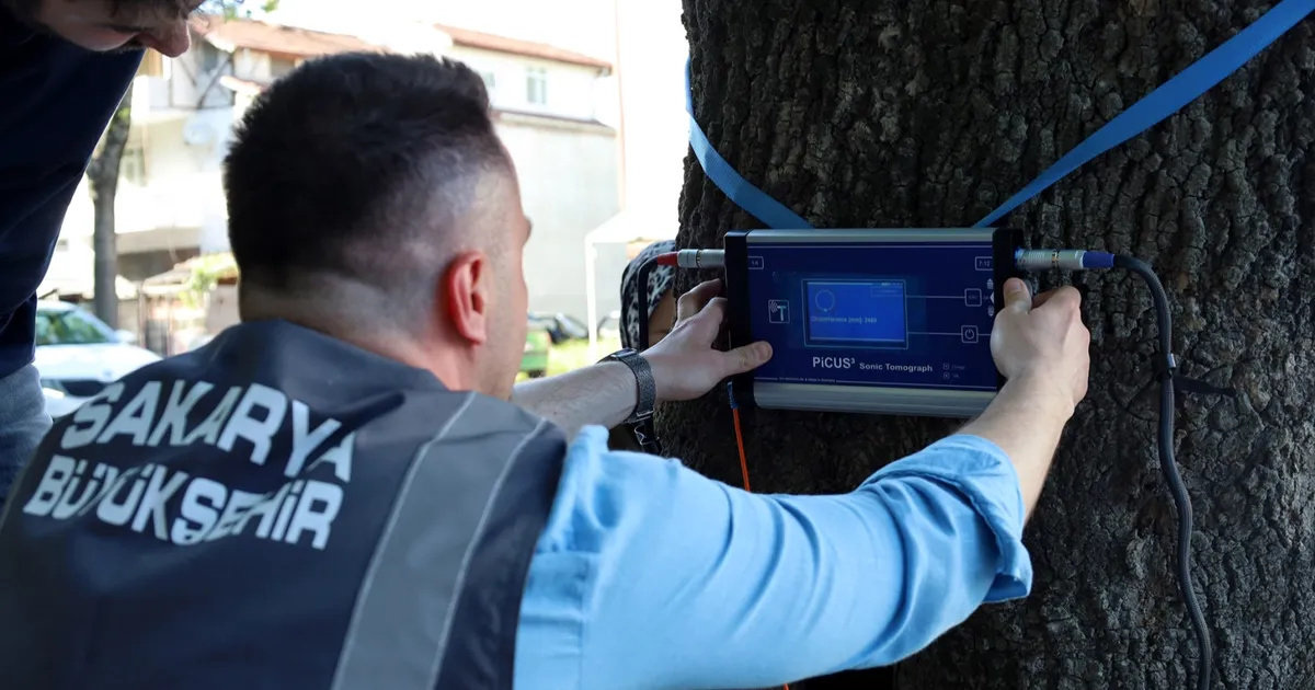 Sakarya’dan doğaya ‘şifa’ gibi adım… Yeşil cennetin tomografisi çekilecek