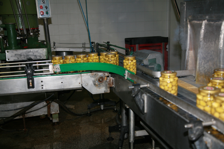 Sofralık zeytin ihracat rekoru kırıyor... Hedef 250 milyon dolar