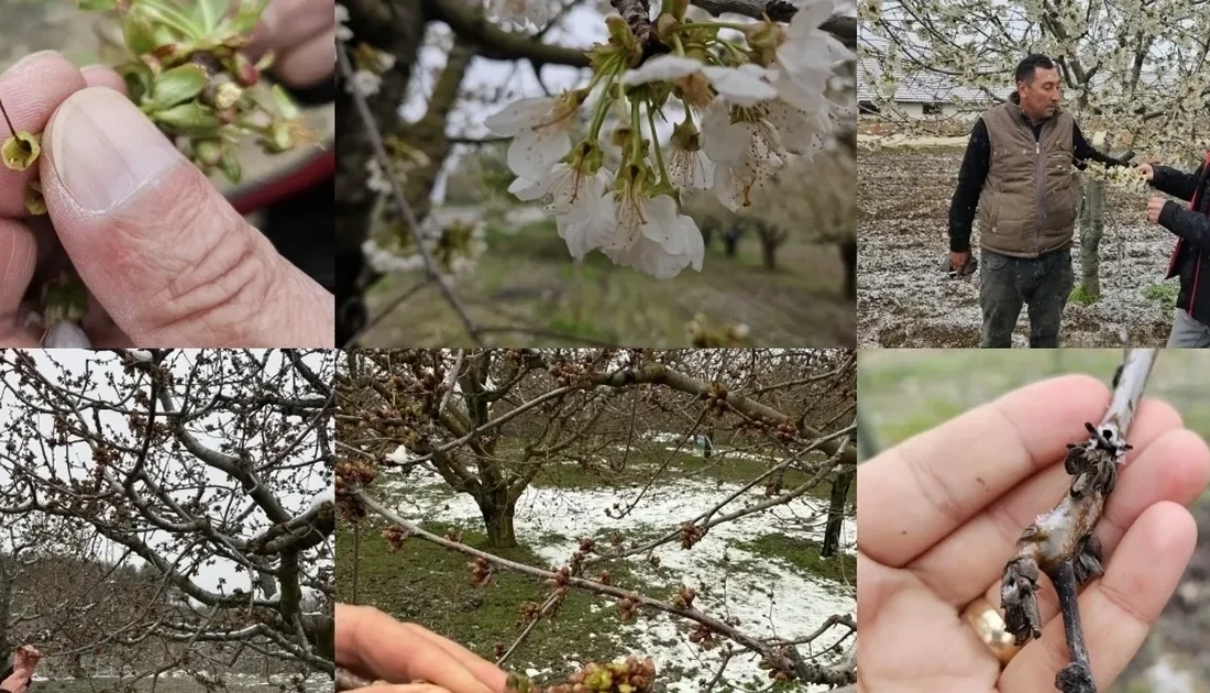 Türkiye'de geçen ay yaşanan