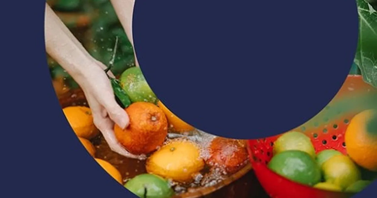 Türkiye’den 'PlantHealth4Life' kampanyasına destek