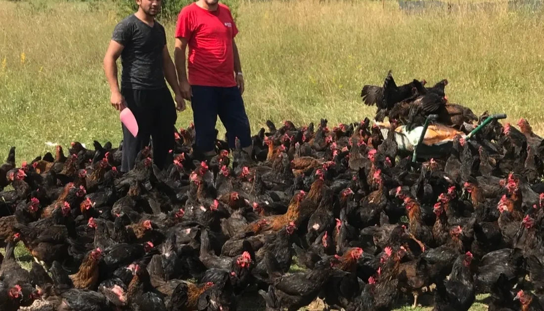 Kocaeli Büyükşehir, “Doğal Salma