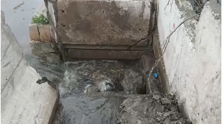 Yalova Çınarcık'ta kanalizasyon denize taştı! Çevre'den 1,3 milyon TL'lik ceza!