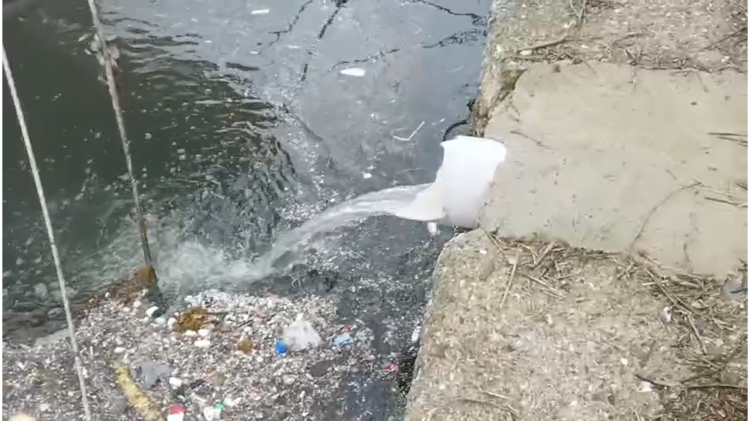 Yalova Çınarcık'ta kanalizasyon denize taştı! Çevre'den 1,3 milyon TL'lik ceza!