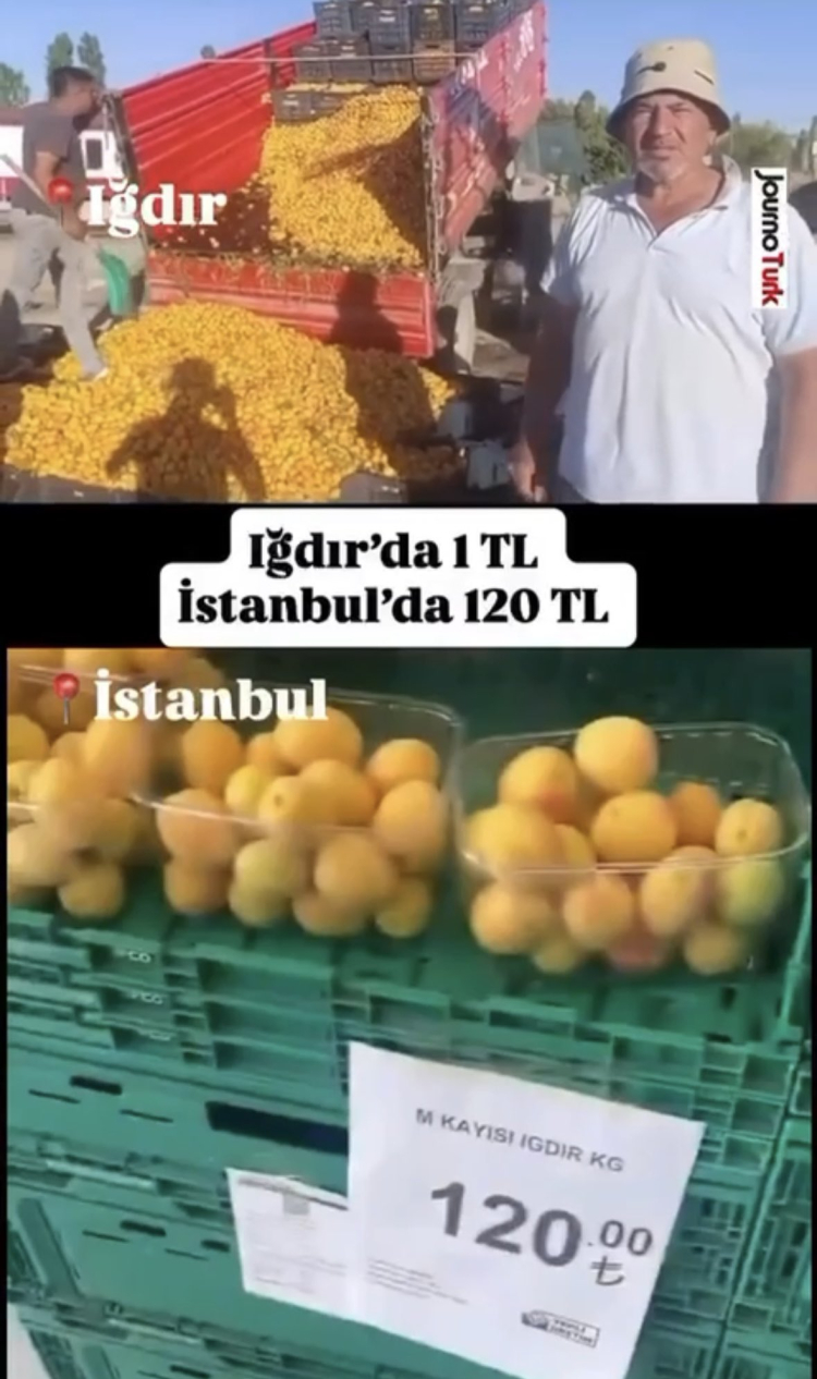 1 TL'lik kayısı paylaşımı 1,4 milyon TL cezaya patladı! Yanıltıcı paylaşıma milyon liralık ceza!