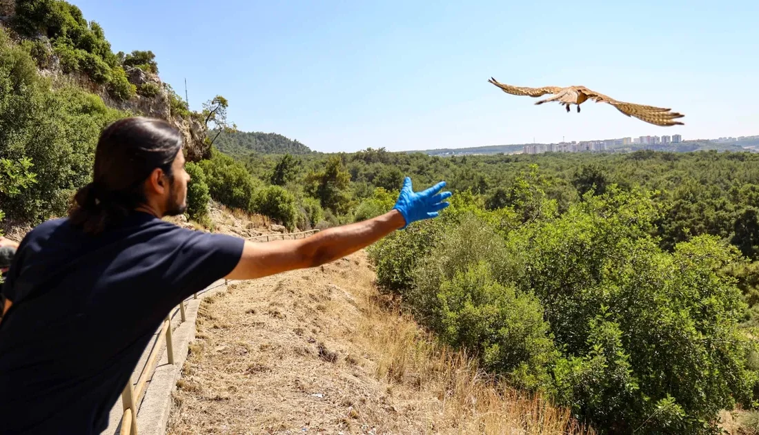 Antalya’da Doğal Yaşam Parkı’na