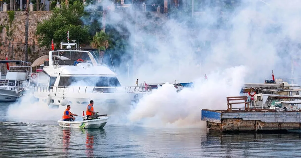 Antalya’nın her köşesinde vektörle mücadele