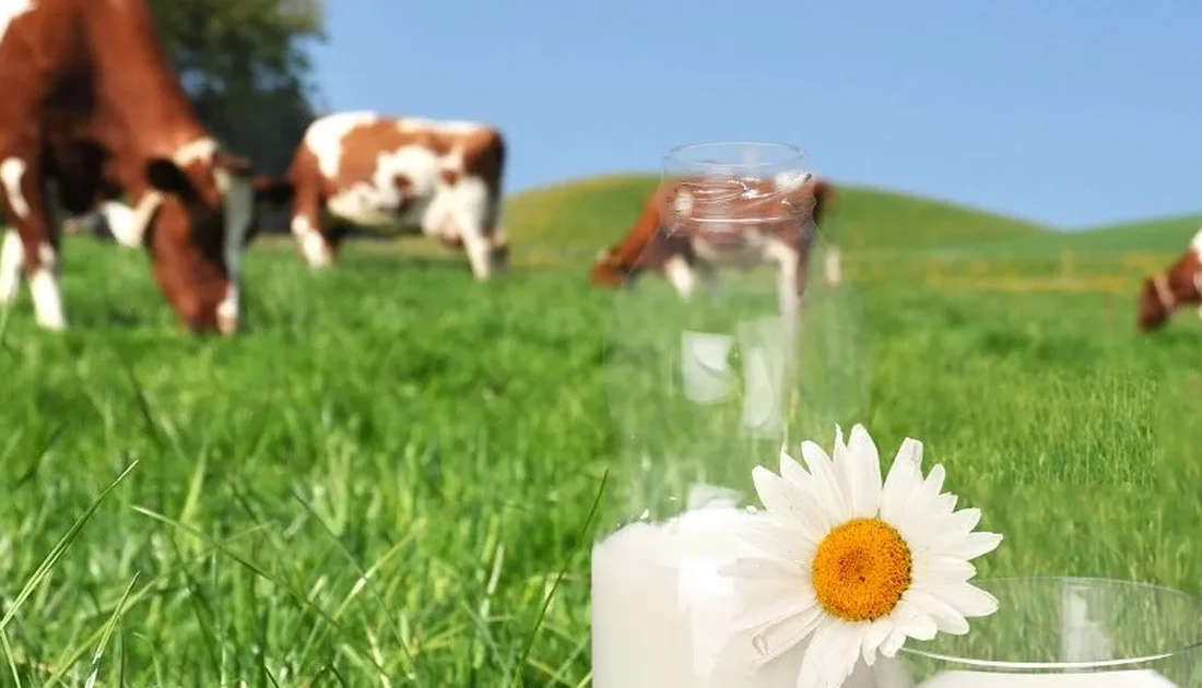 Tarım ve Orman Bakanı