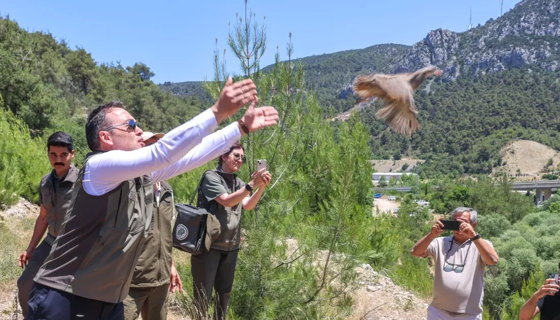 Doğal yaşamın korunması ve