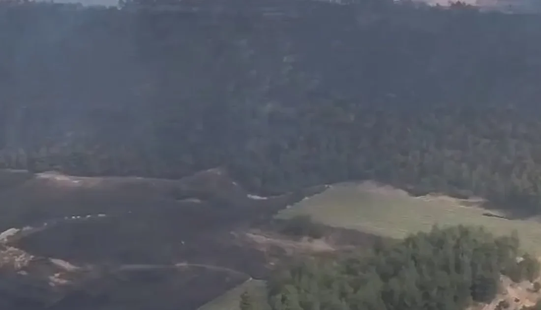 Orman Genel Müdürlüğü, Bolu