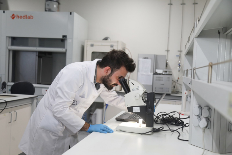 BTÜ’den gıda endüstrisine çevreci devrim... Fındık küspesiyle bitkisel protein atağı