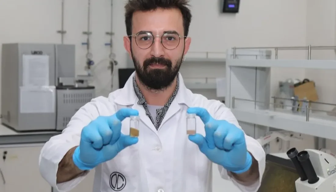 Bursa Teknik Üniversitesi, fındık