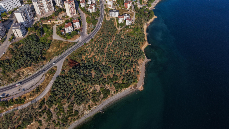 Bursa Gemlik’e yeni sahil yürüyüş yolu geliyor