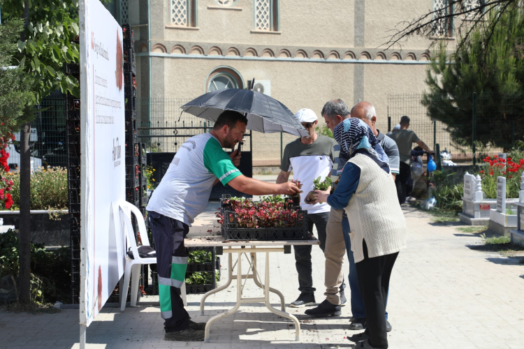 Bursa İnegöl Belediyesi mezarlıklarda 9 bin çiçek dağıttı