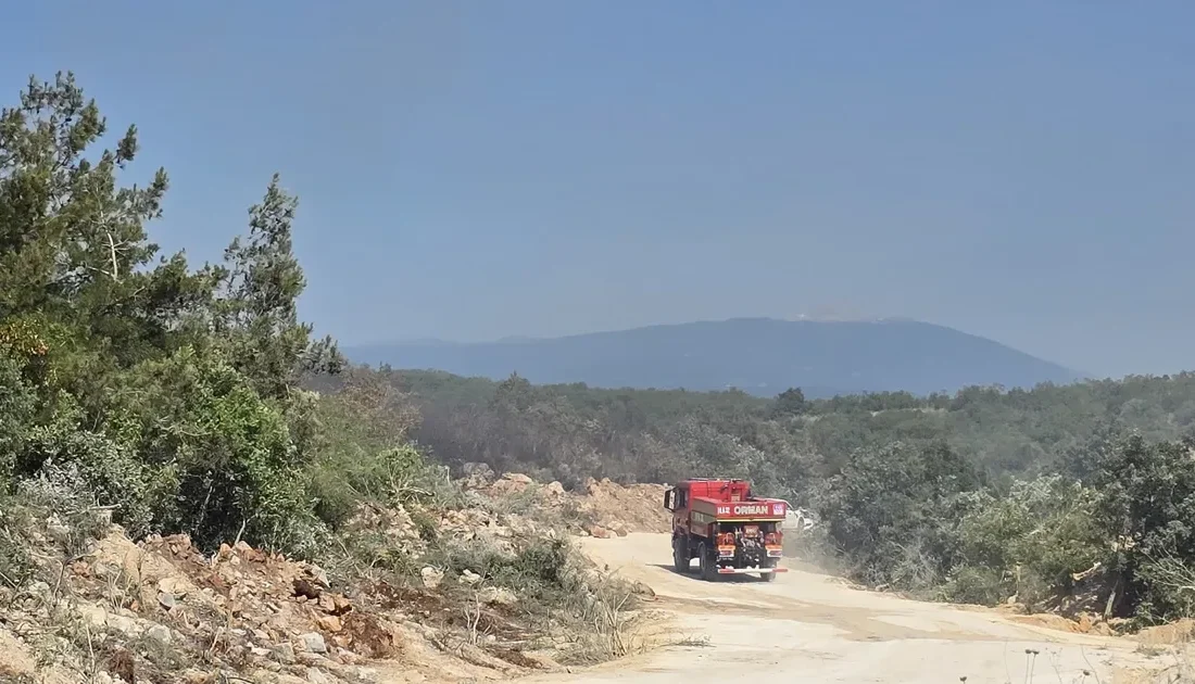 Nilüfer’de Kayapa ve Maksempınar