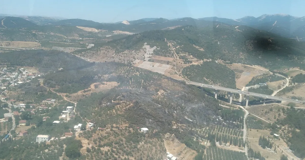 Bursa Osmangazi'de orman yangını hızlı müdahalelerle kontrol altına alındı