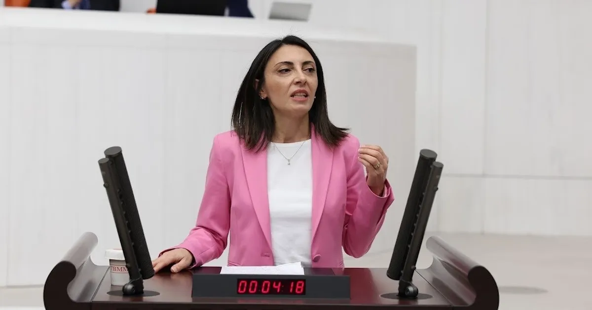 CHP’li Altaca Kayışoğlu’ndan TBMM'de sert eleştiri