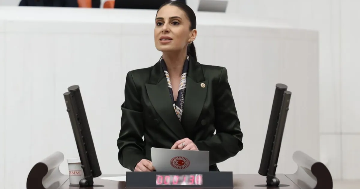 CHP’li Özcan’dan Dalaman Çayı uyarısı