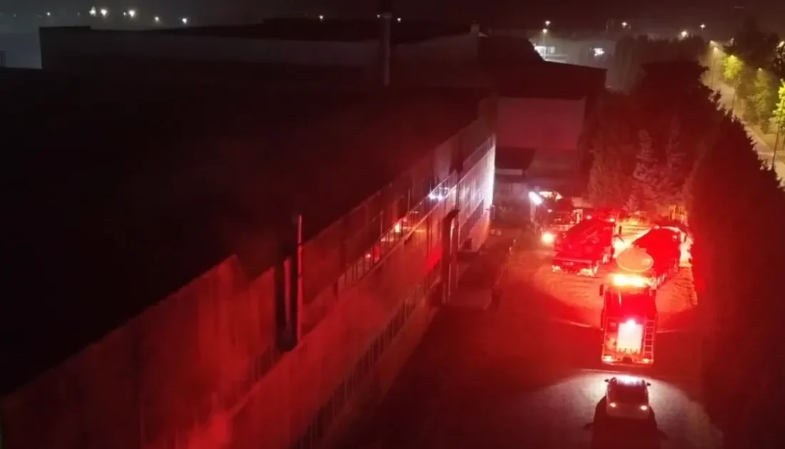 Düzce’nin Beyköy beldesinde bulunan