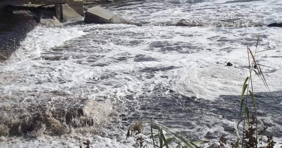 Ergene Nehri’ndeki kirlilik çevre felaketine dönüştü