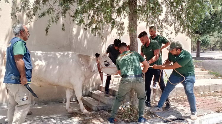 Gaziantep Doğal Yaşam Parkı 90 bin ziyaretçi ağırladı