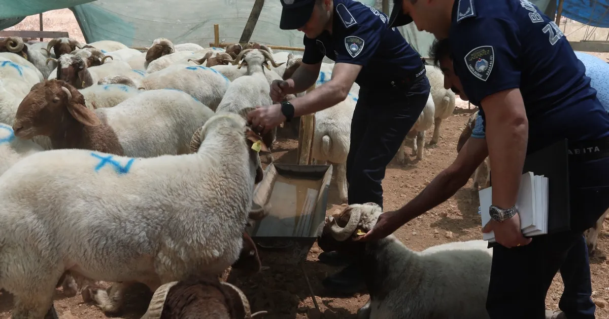Gaziantep’te bayram öncesi denetimler sıkılaştı