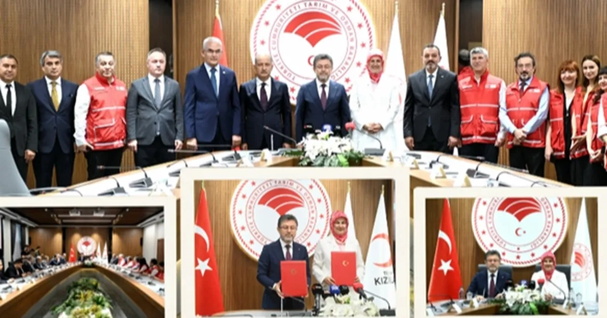 'Hastaya kan, ormana can' kampanyası... Kan bağışına üç fidan