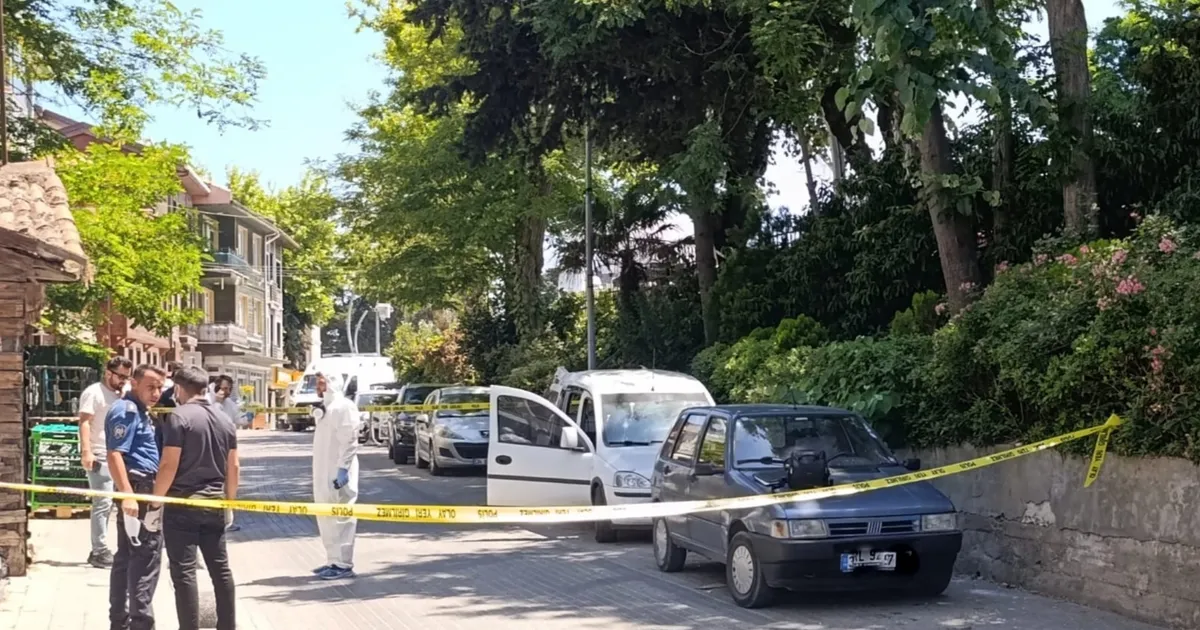 İstanbul Şile'de park halindeki araçta erkek cesedi bulundu