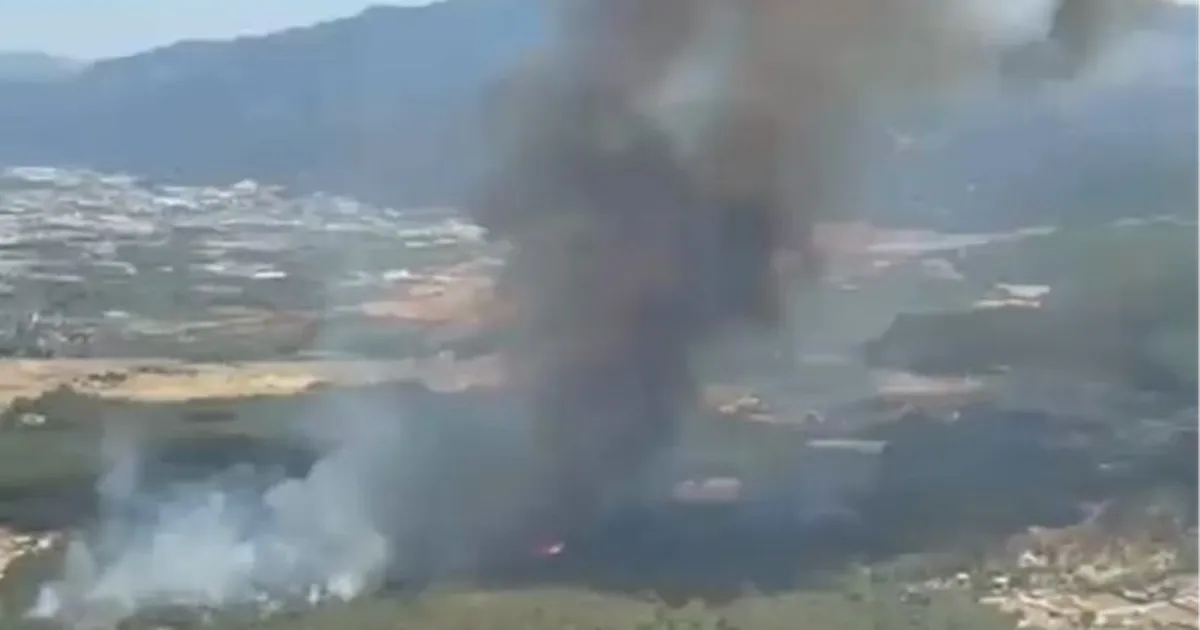 İzmir Bornova Yakaköy'de orman yangınına hızlı müdahale