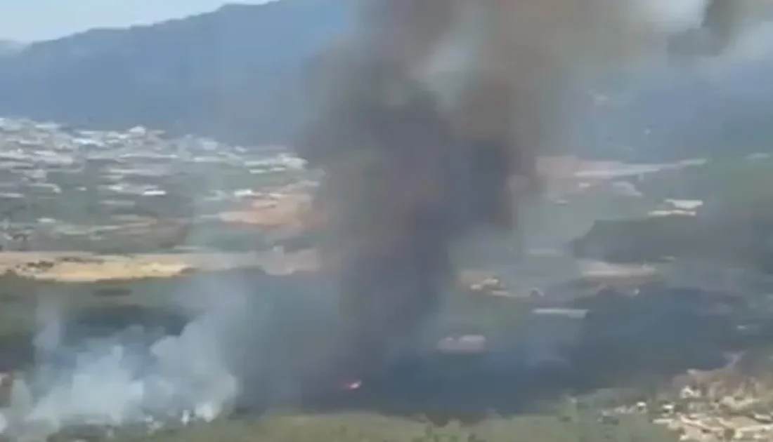 İzmir Bornova Yakaköy'de orman