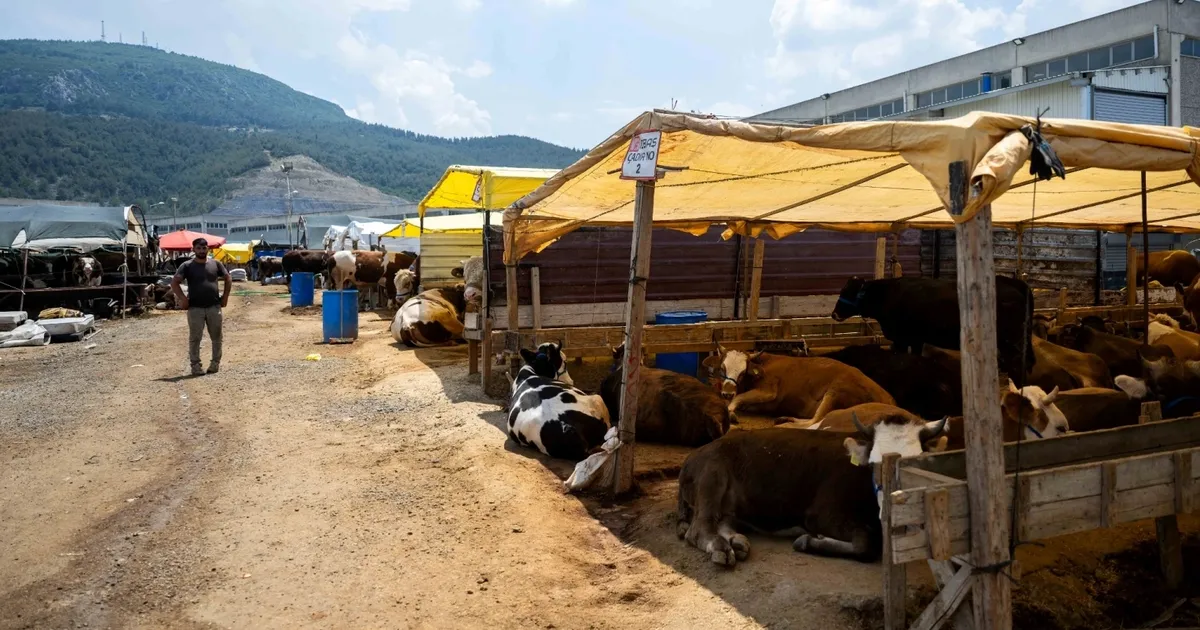 İzmir Bornova’da Kurban Pazarı kapılarını açtı