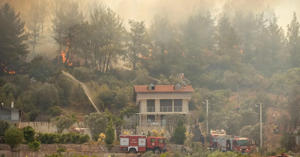 İzmir Büyükşehir’den yangınların bilançosu