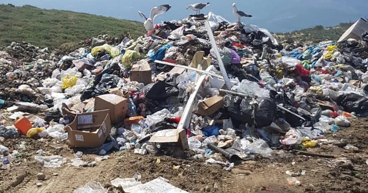 İzmir Büyükşehir'e 9,3 milyon TL çevre cezası