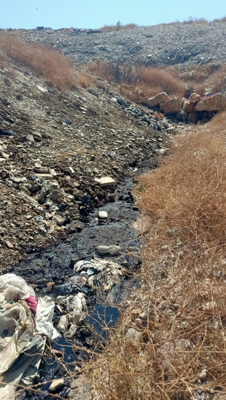 İzmir Büyükşehir'e 9,3 milyon TL çevre cezası