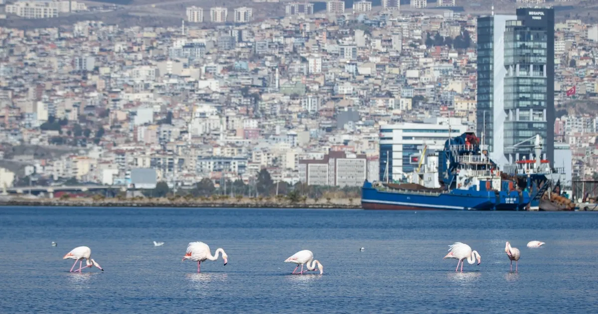 İzmir 'iklim nötr' hedeflerini dünyaya tanıttı