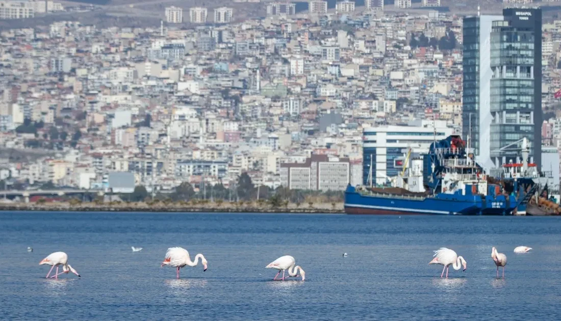 İzmir Büyükşehir Belediyesi, Litvanya’nın