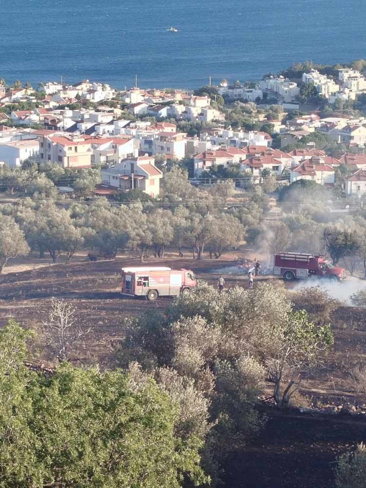 İzmir İtfaiyesi 48 saatte 220 yangına müdahale etti