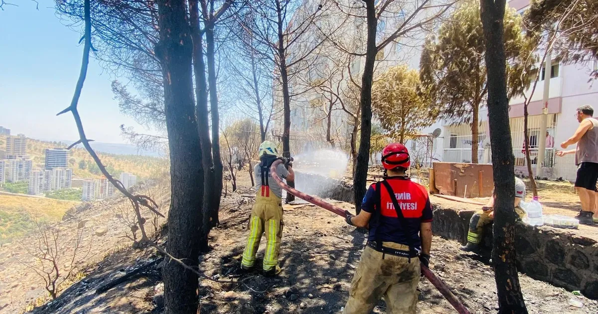İzmir İtfaiyesi 48 saatte 227 yangına müdahale etti