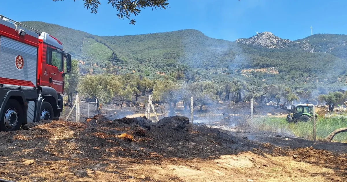 İzmir İtfaiyesi üç noktada yangınlara müdahale etti