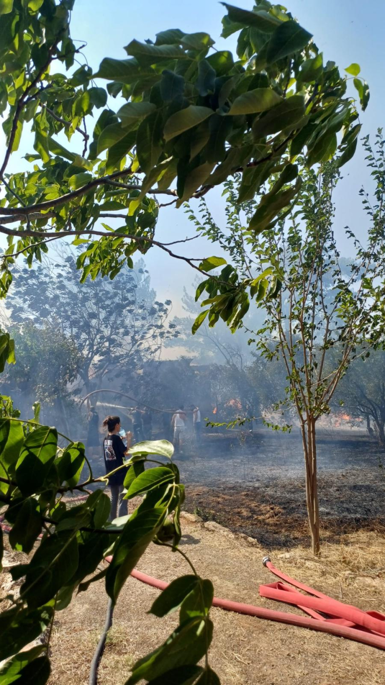 İzmir'de yangın ve fırtınayla mücadele!
