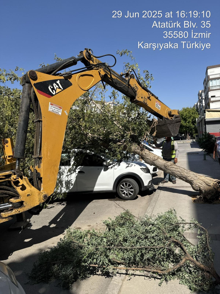 İzmir'de yangın ve fırtınayla mücadele!