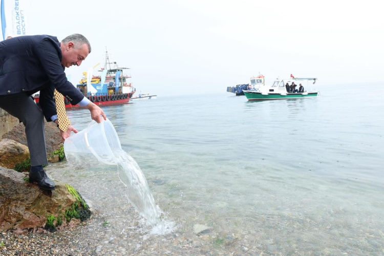 İzmit Körfezi ölümden dirilişe... Kocaeli’nin çevre zaferi