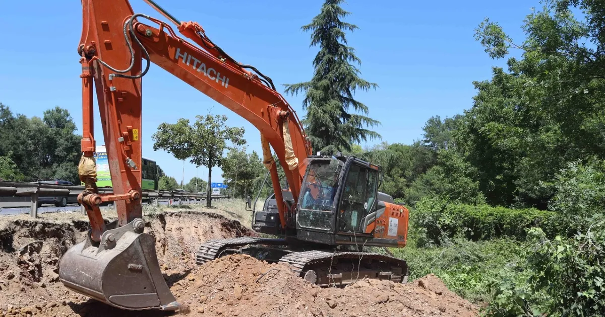 Kocaeli’de sökülen ağaçlar geleceğe taşınıyor